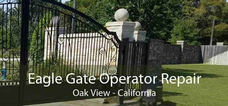 Eagle Gate Operator Repair Oak View - California